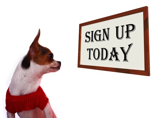 Sign Up Today Sign Showing Registration For Dog Website Cute Chihuahua Puppy Looking At A Blank Board Ready For A Message