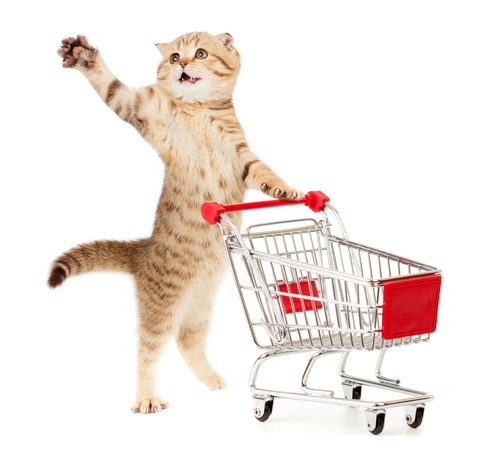 Cat with shopping cart isolated on white