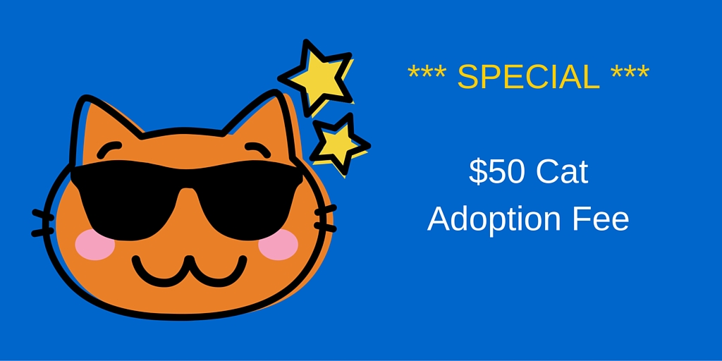 Friends Forever is hiring a Part Time Kennel Technician.