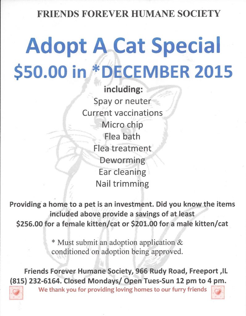 Adopt a Cat in December for $50