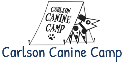 carlson_logo_v2-1
