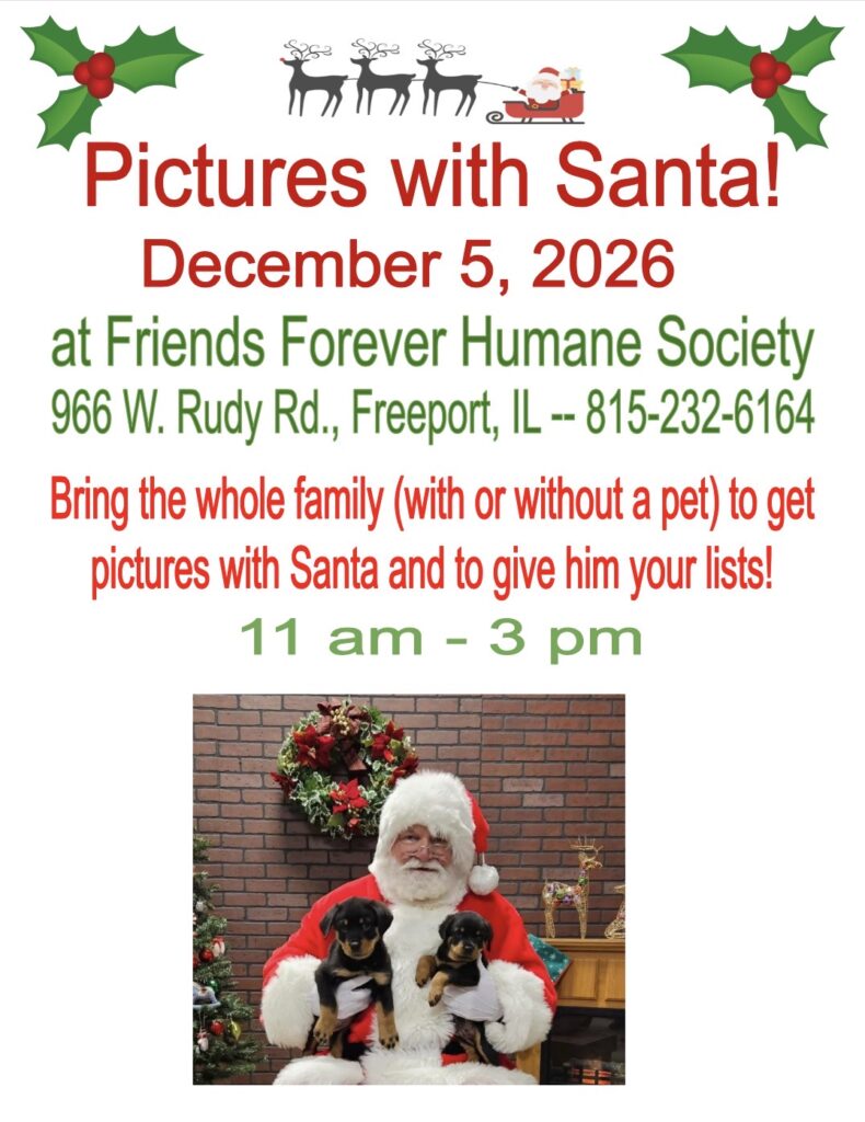 pictures with santa