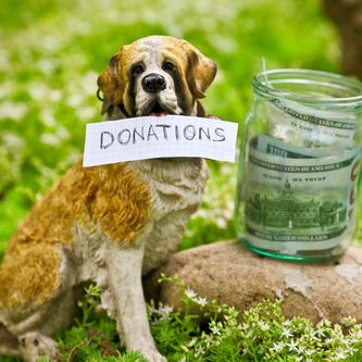 The dog raising money for the donations
